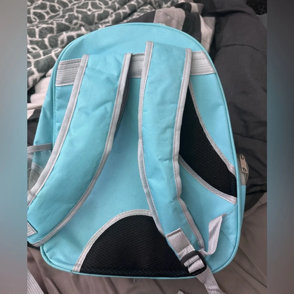 Pet backpack carrier teal/black/clear great condition